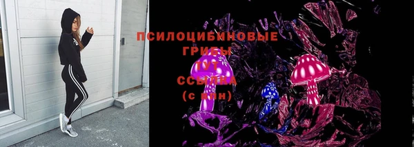гашик Каменногорск