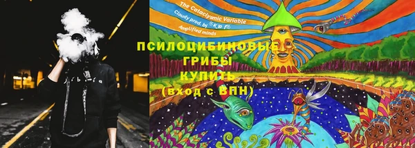 дурь Абаза