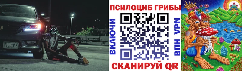 Псилоцибиновые грибы Psilocybe Ленинградская